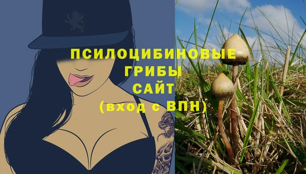 твердый Лиски