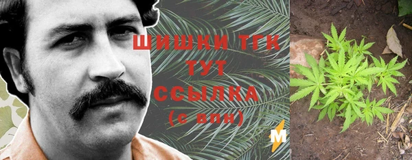ПСИЛОЦИБИНОВЫЕ ГРИБЫ Лихославль