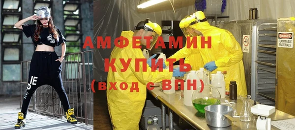 твердый Лиски