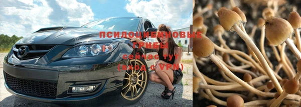 MESCALINE Липки