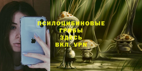 ПСИЛОЦИБИНОВЫЕ ГРИБЫ Лихославль
