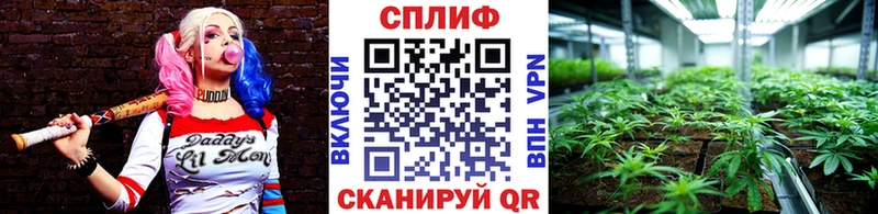 Купить закладки  Кирсанов  Марихуана SATIVA & INDICA 